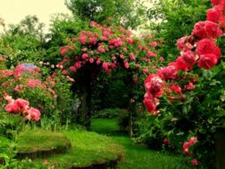 Rose Garden Trip Packages